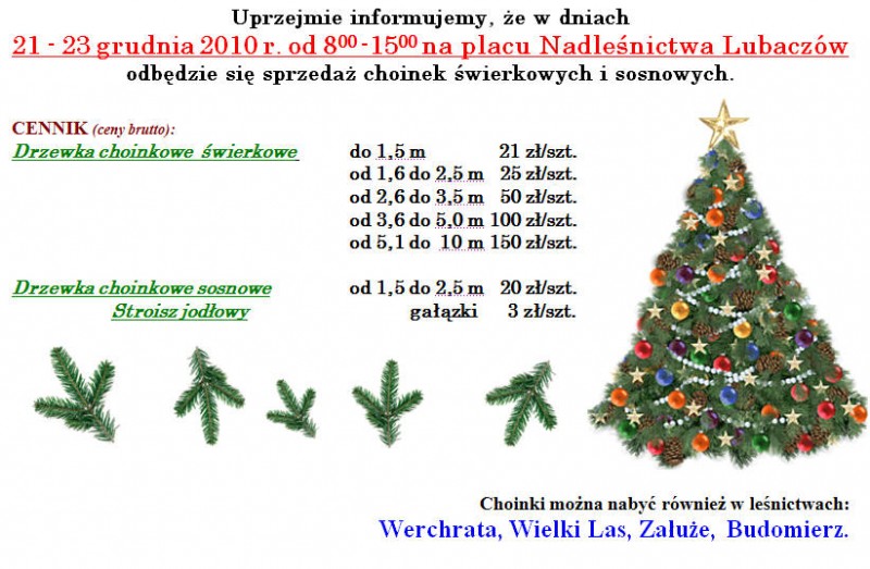choinki_2010_lubaczow Obraz przedstawiający Powiat lubaczowski: Gdzie po choinkę na święta?