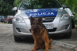 Obraz przedstawiający Policyjny "Rudolf" odnalazł dwójkę poszukiwanych 17-latków