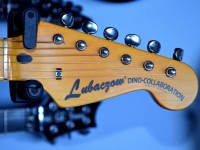 fot. Lubaczow Dino-Collaboration