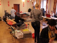 fot. Studio Razmi, arch.