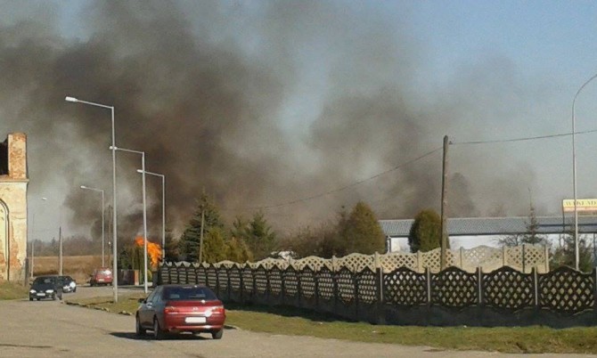 Wypalanie traw kilka dni temu w okolicy ul. Kolejowej zagrażało budynkom.