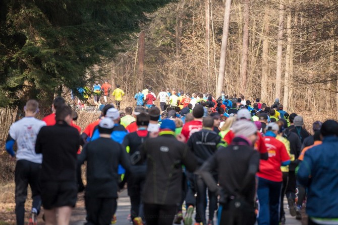 Fot. T. Michalski, arch.