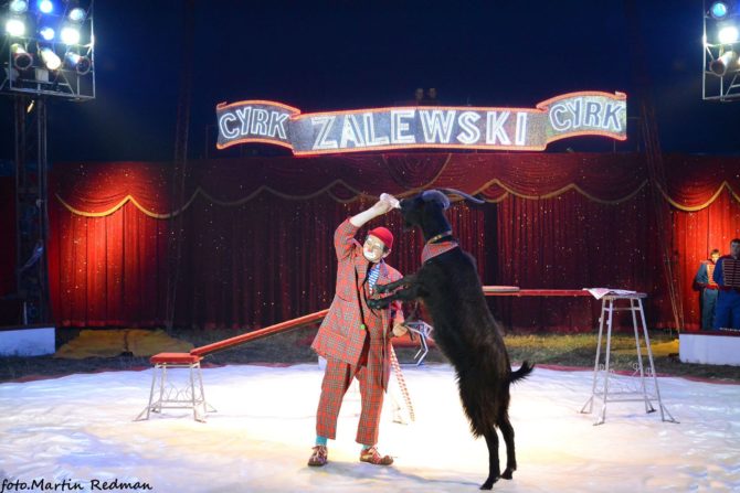 13433204_1091164424278645_8816032728350133514_o