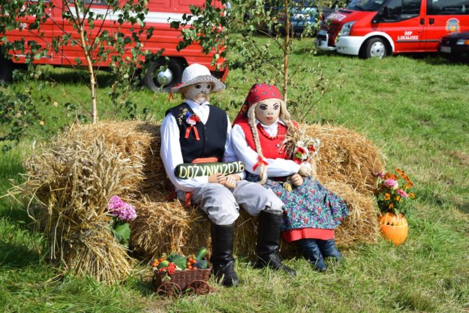 13996107_929146853877691_172344754324165027_o