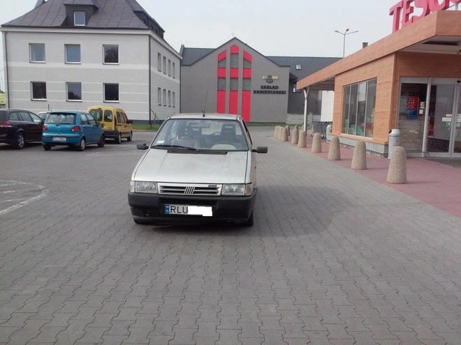 14590239_1204855146237197_5418178029132426791_n