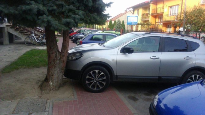 14787004_183869625391729_502818638_o