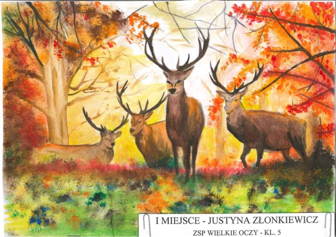 Obraz przedstawiający Znamy laureatów konkursu „Mój wymarzony las"